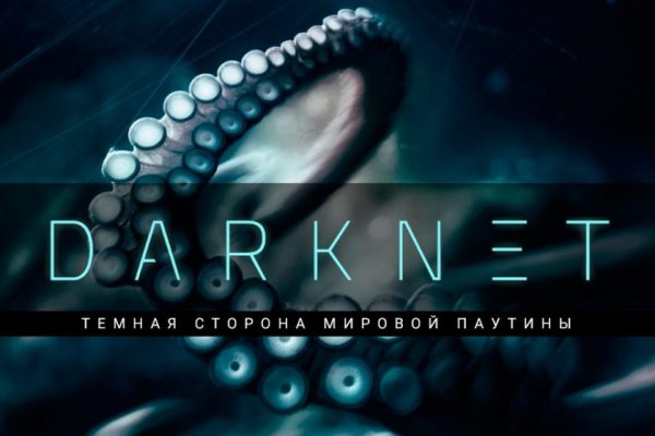 Пользователь не найден kraken